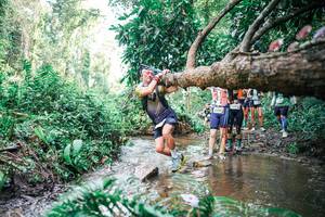 BIB: 
                            <button type="button" onclick="openModal(25515615)" class="btn btn-primary btn-sm float-right btn-popup" data-toggle="modal" data-target=".modal-high-quality">
                        <i class="fas fa-shopping-cart"></i> Add to Cart
                    </button>
                                            <button type="button" onclick="isThisMe(25515615, true)" class="btn btn-success btn-sm float-right btn-popup btn-isme hidden" data-toggle="tooltip" data-placement="bottom" title="นี่คือรูปของคุณใช่ไหม คลิกที่นี่เพื่อเอาเข้าอัลบั้ม">
                        <i class="fas fa-plus"></i> Add to album
                    </button>
                    <button type="button" onclick="isThisMe(25515615, false)" class="btn btn-warning btn-sm float-right btn-popup btn-isnotme hidden">
                        <i class="fas fa-ban"></i> Remove from album
                    </button>